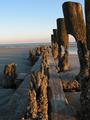 IMG_0634-640-color.jpg