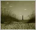 Day 18 Morris Island Light House