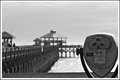 Day 19 Folly Pier