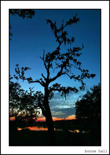 Boone Hall