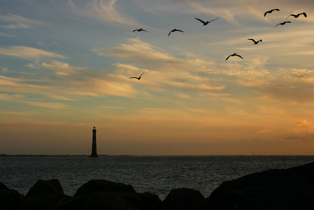 Lighthouse and Pelicans
