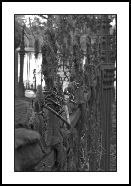 fences outakes (1).jpg