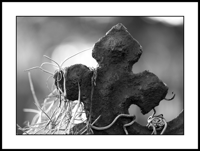 fences outakes (2).jpg