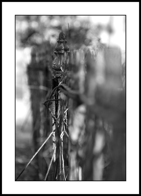 fences outakes (4).jpg