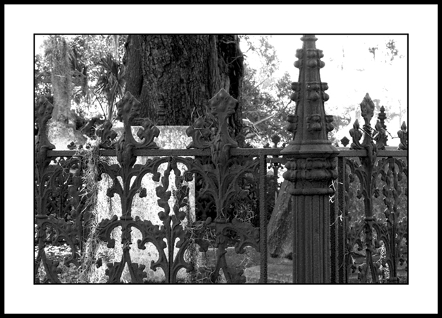 fences outakes (5).jpg