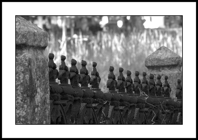 fences outakes (6).jpg