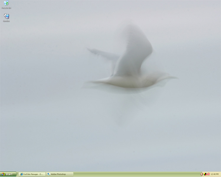 desktop.jpg