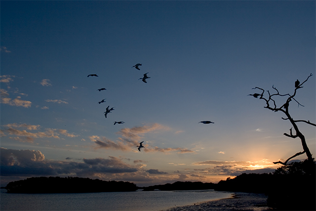 Sunset at Florida Bay