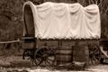 Wagon and Barrels II