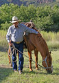 cowboy-2-small.jpg