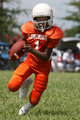 longhorn-33.jpg