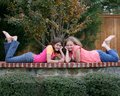 Cousins