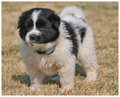 oreo-day-2-2.jpg