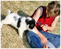 a-boy-and-his-dog-2.jpg