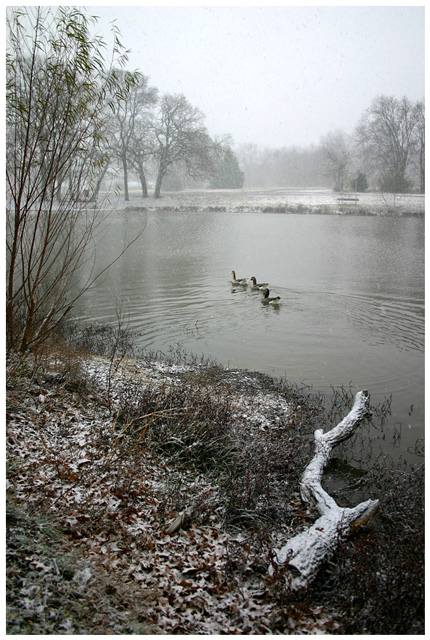 First Snowfall of the Year