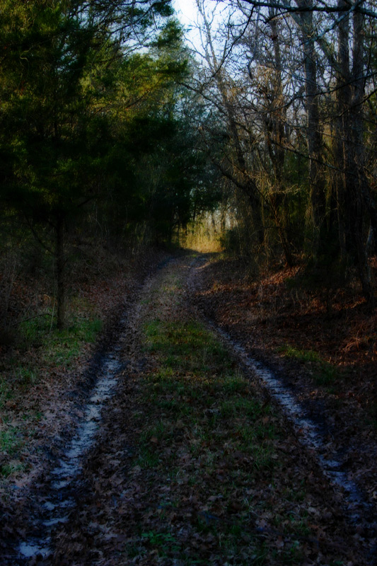 The Pathway