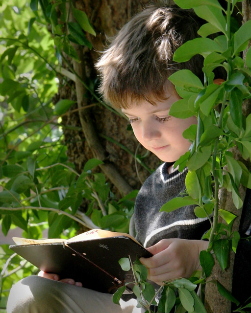 Get Lost in a Good Book