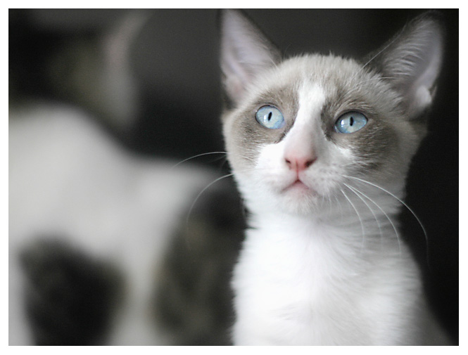 Pastel Outtake