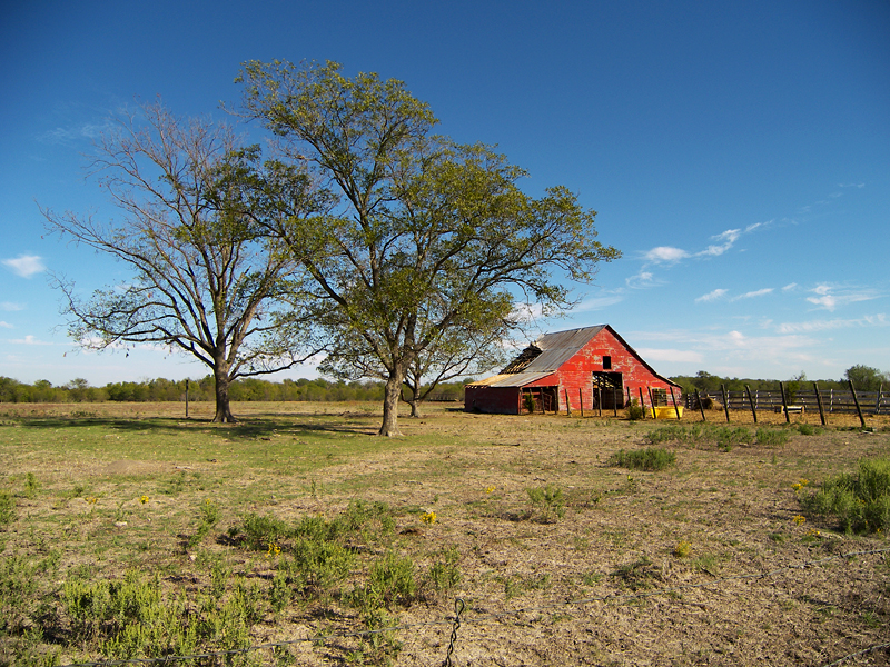 Barn