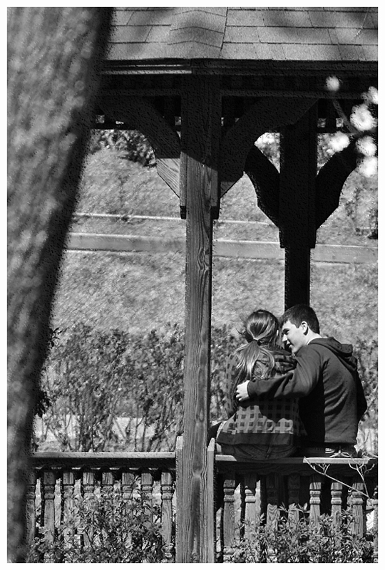 Love in Bloom