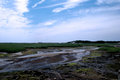 Cape-Cod.dpc.jpg