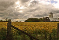Barn@Kars-Rd..jpg
