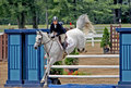 Horse Jumping.2.jpg