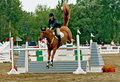Horse Jumping.4.jpg