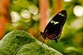 IMG_5287adjusted.jpg