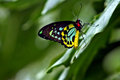 IMG_5313adjusted.jpg