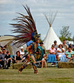 IMG_5695adjusted.jpg