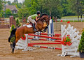 Horse-Jumping.5.jpg
