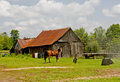 IMG_7063adjusted.jpg