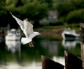 IMG_5874adjusted.jpg