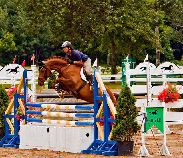 Horse Jumping.jpg