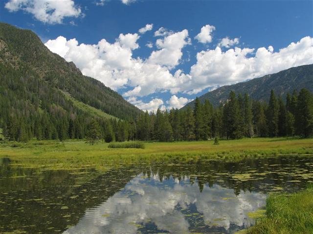 Picture 028 (Large) (Small).jpg