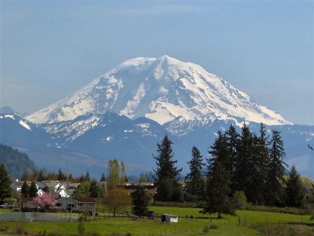 Mount Rainier.1 (Small).JPG