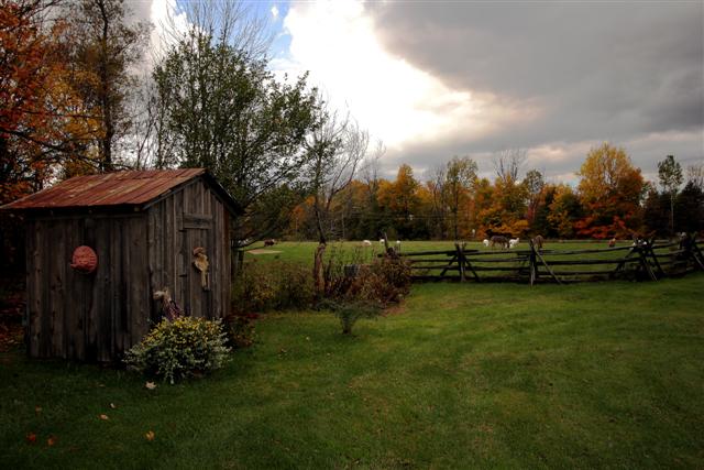 Shed@River Road.jpg