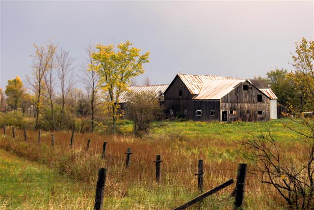 Barn@Rte 43 (Small).jpg