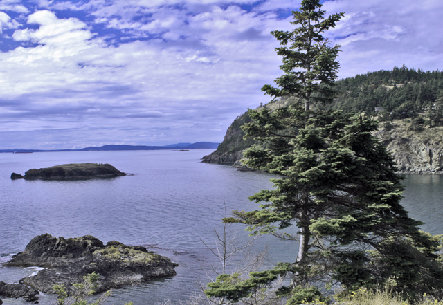 Beach-WA.jpg