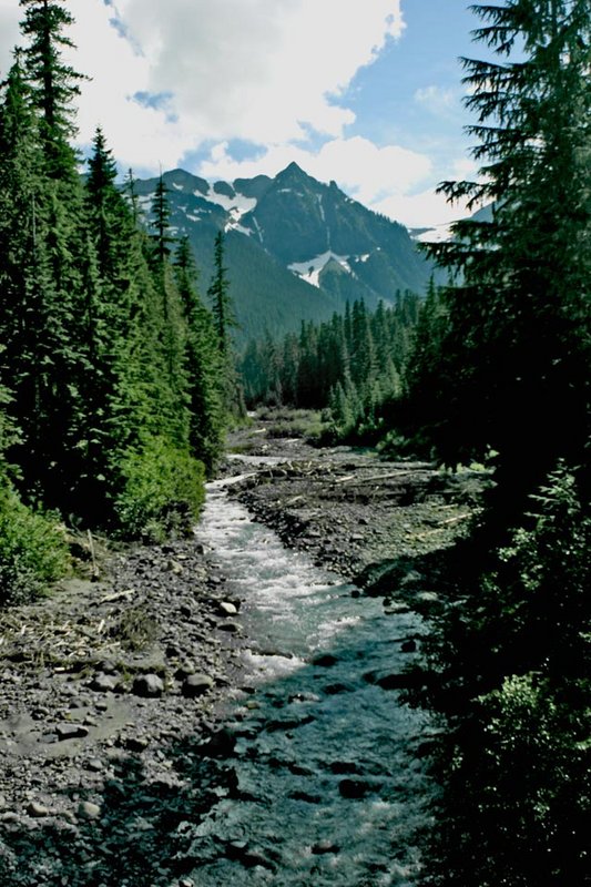 Frypan-Creek-WA.dpc.jpg