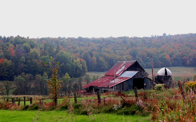 Barn@Wakefield.jpg