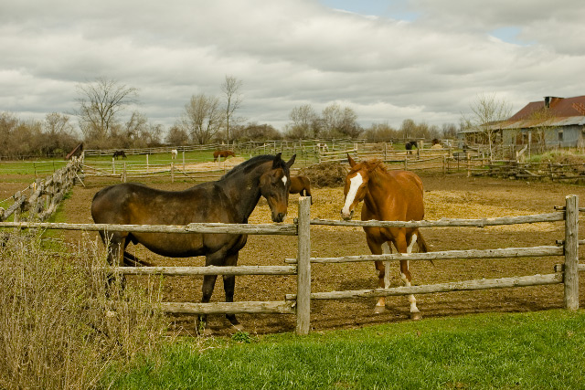 Barn@Johnson Rd..jpg