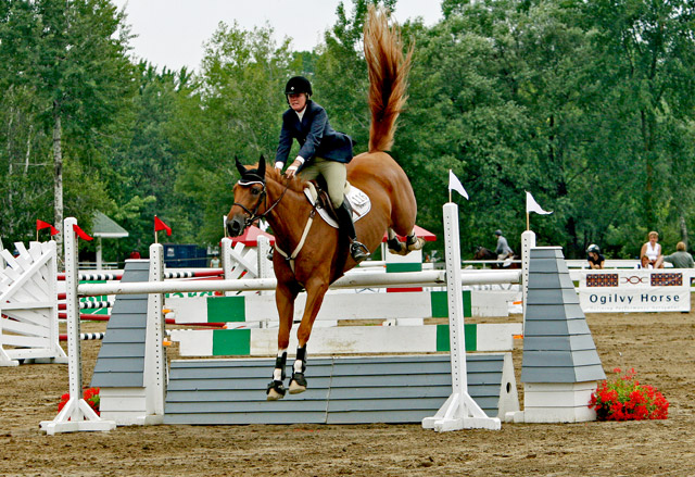 Horse Jumping.4.jpg