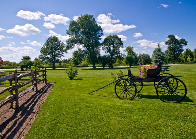 Horseless Carriage.jpg