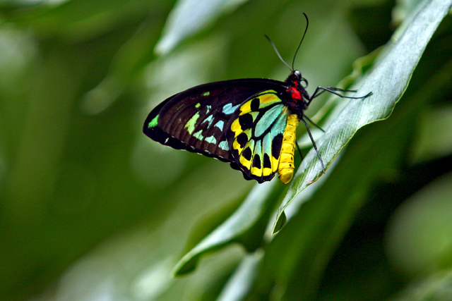 IMG_5313adjusted.jpg