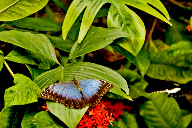 IMG_5369adjusted.jpg