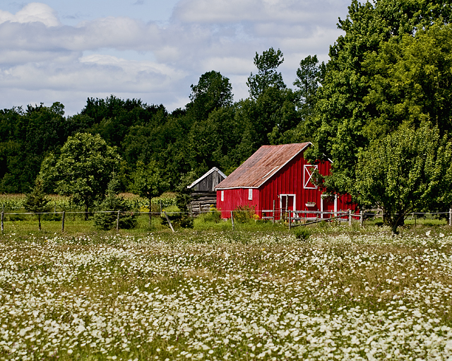 Barn@Davis Road.jpg