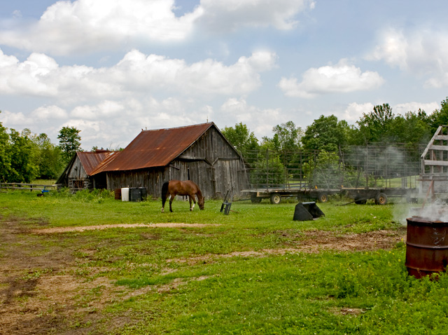IMG_7064adjusted.jpg