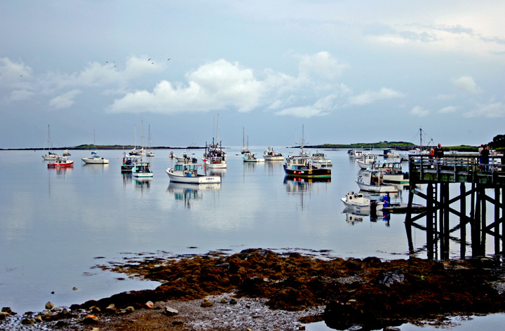 IMG_5835adjusted.jpg